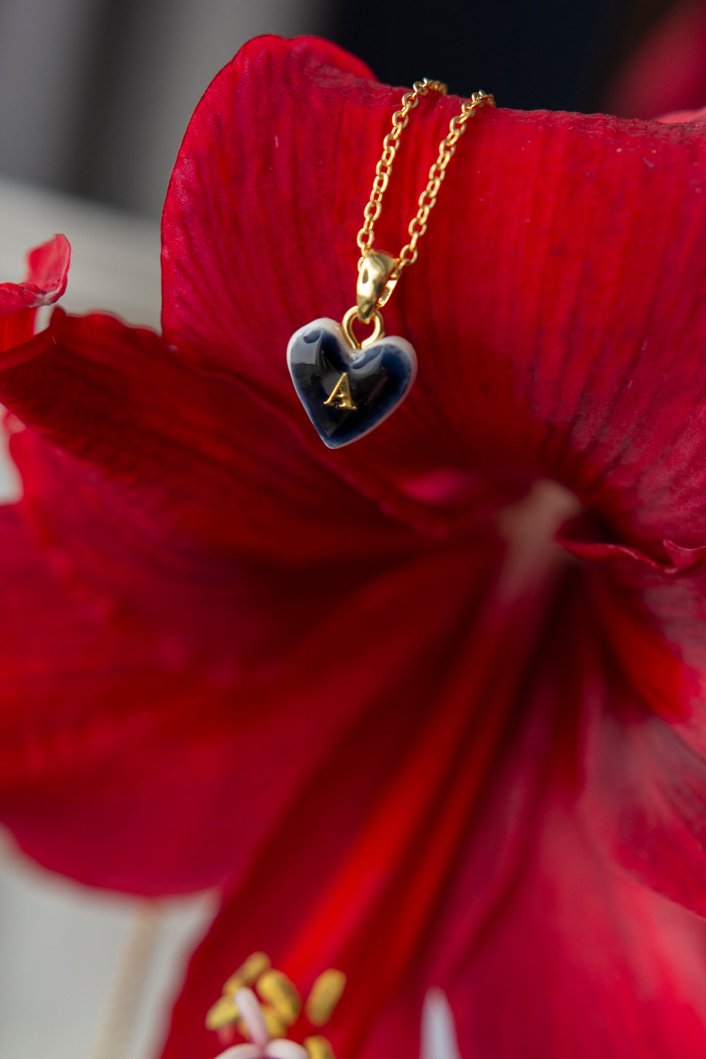 Kaklarota - SIRDS AR BURTU