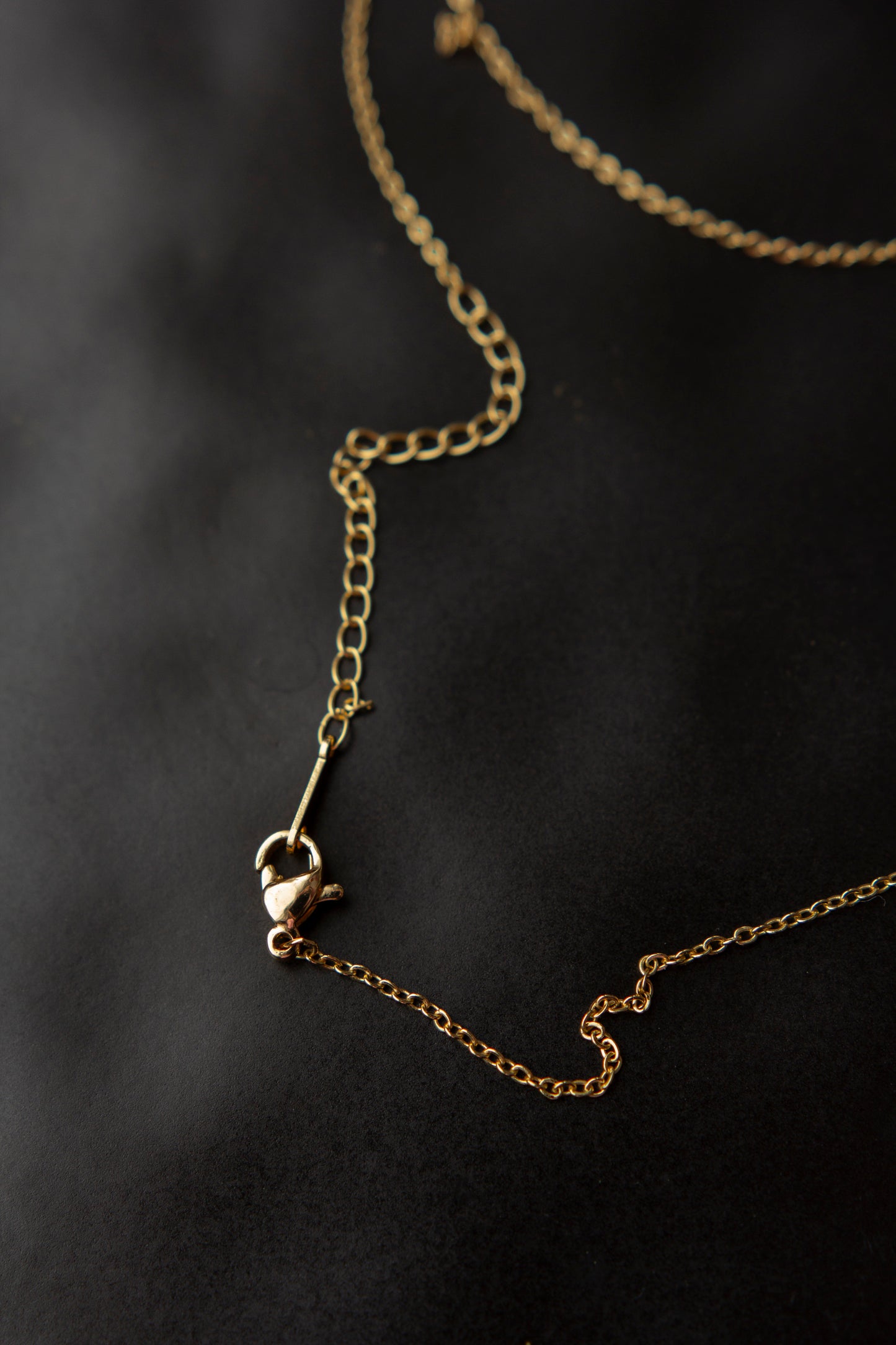 Kaklarota - SIRDS AR BURTU