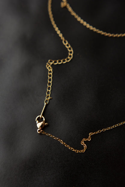 Kaklarota - SIRDS AR BURTU