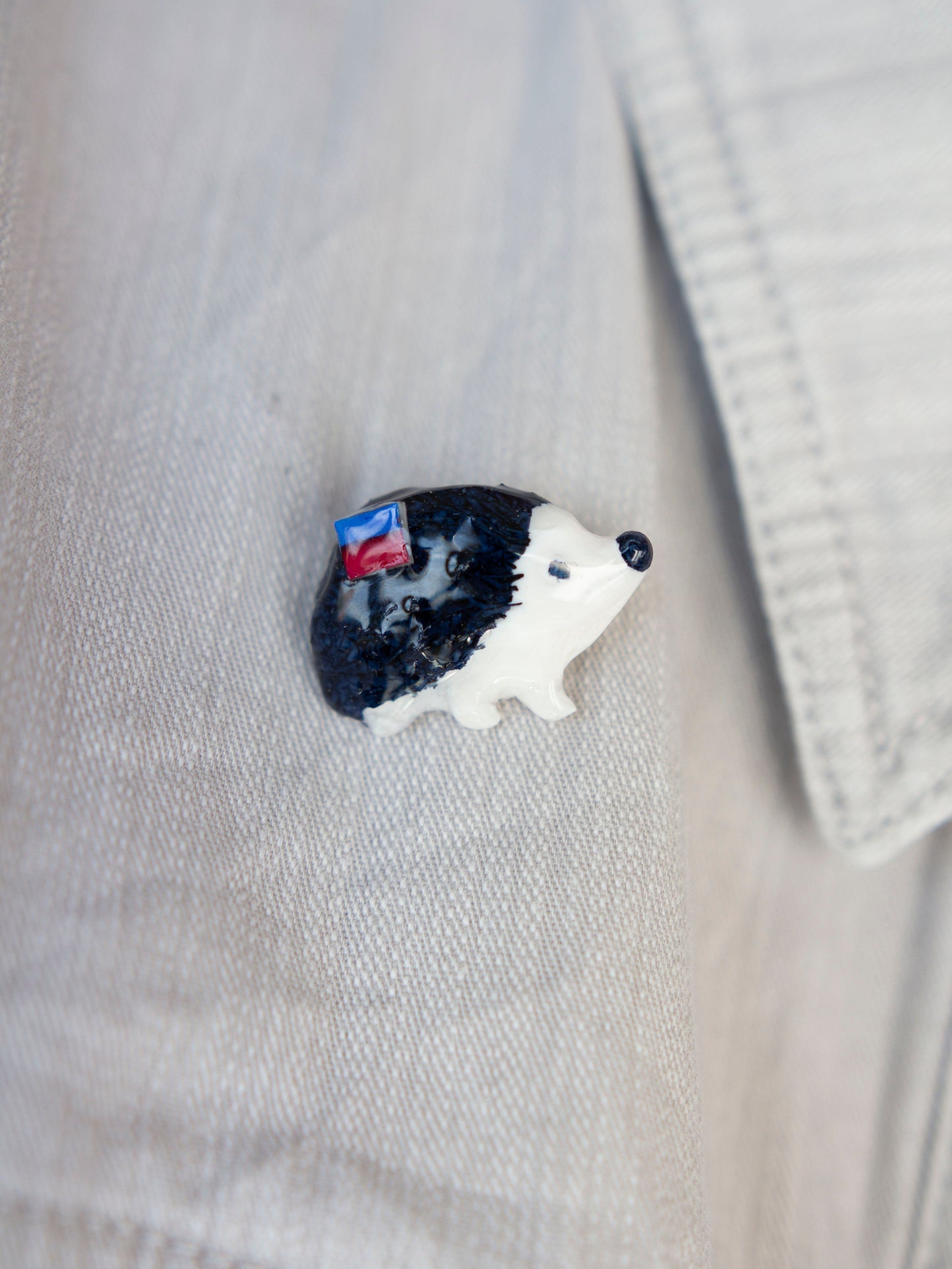 Latvian collection pin - EZITIS